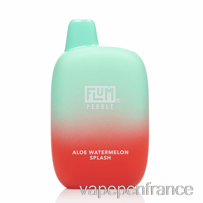 Flum Pebble 6000 Stylo Jetable à Vape à L'aloès Et à La Pastèque